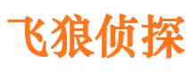 白塔市私人侦探